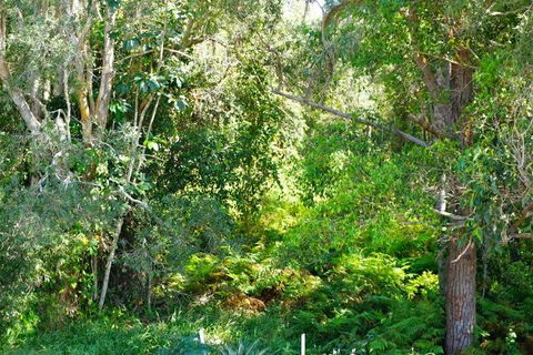 Brunswick Heads Treetop Studio - Accommodation Mount Tamborine 20