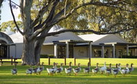 Serafino McLaren Vale