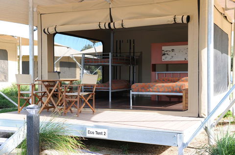 Discovery Parks - West Beach Parks - Accommodation Mount Tamborine 29