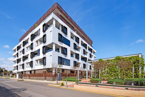 Swainson At Bowery - Accommodation Mount Tamborine 5