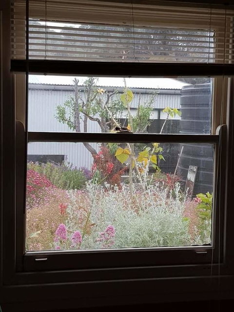 Sinclair Cottage - Accommodation Mount Tamborine 24