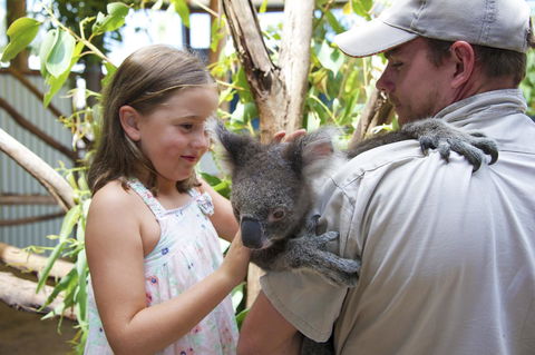 One Mile Retreat - Accommodation Mount Tamborine 16