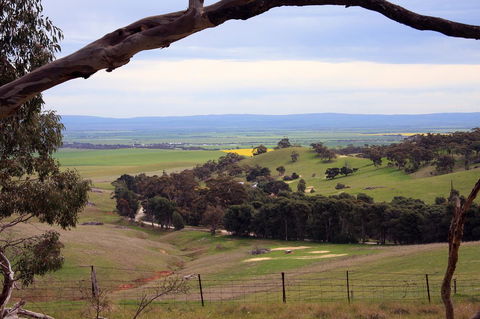 Windmill Cottage - Accommodation Mount Tamborine 1