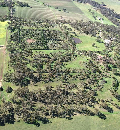 Windmill Cottage - Accommodation Mount Tamborine 10