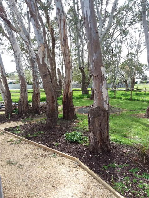 Cloisters Of Kalangadoo - Accommodation Mount Tamborine 6