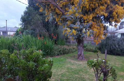 Ruby\'s Cottage - Accommodation Mount Tamborine 19