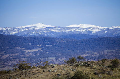 Eagles Range - Accommodation Mount Tamborine 15