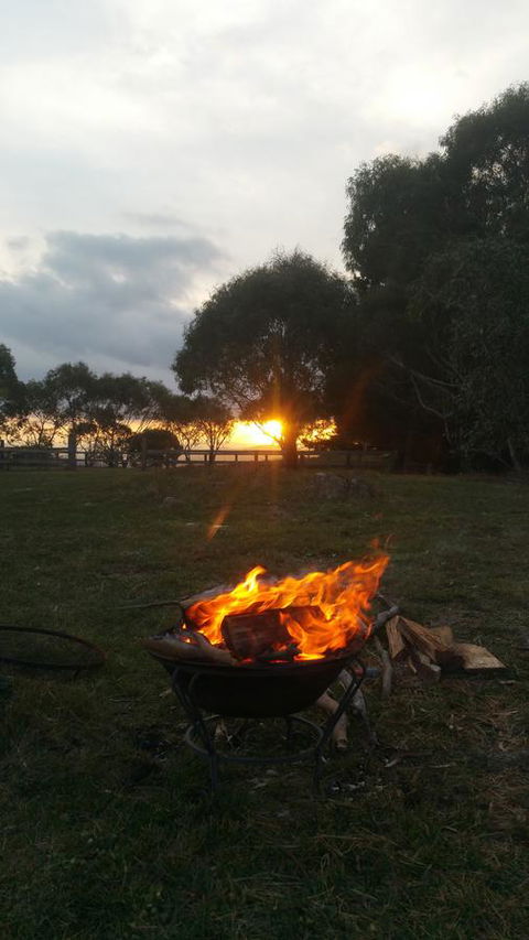 Eagles Range - Accommodation Mount Tamborine 12