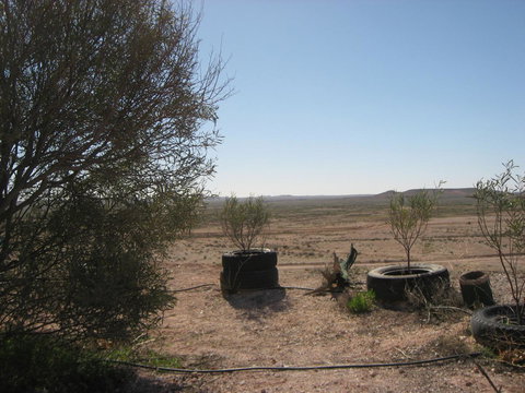 Venushill B+B - Accommodation Mount Tamborine 32