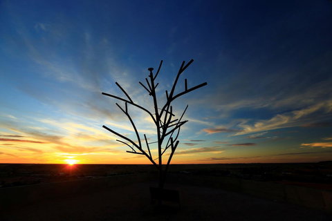 Venushill B+B - Accommodation Mount Tamborine 5