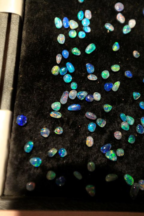 Venushill B+B - Accommodation Mount Tamborine 6