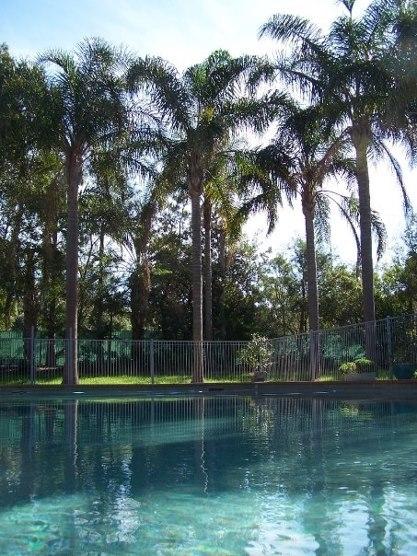 Abcot Inn - Accommodation Mount Tamborine 34