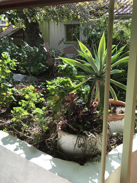 Cosy Nook - Accommodation Mount Tamborine 19