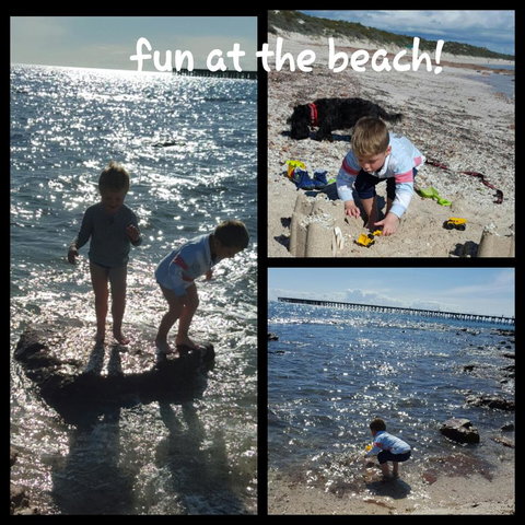 Cosy Nook - Accommodation Mount Tamborine 37