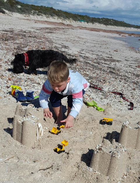 Cosy Nook - Accommodation Mount Tamborine 38