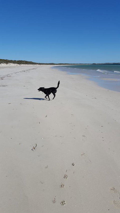 Cosy Nook - Accommodation Mount Tamborine 39