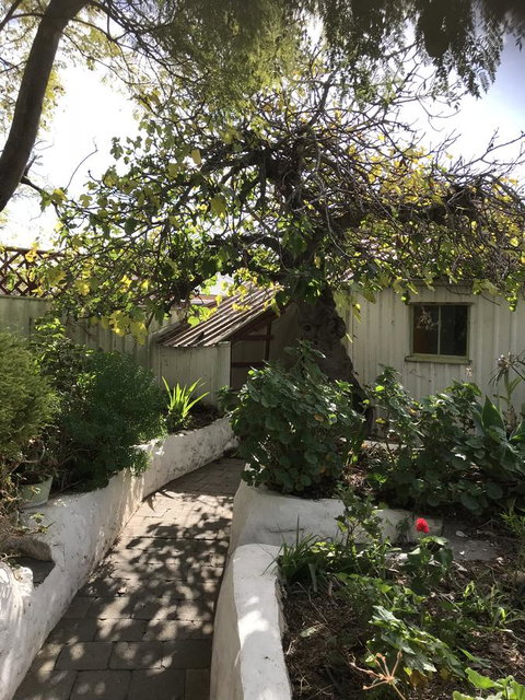 Cosy Nook - Accommodation Mount Tamborine 3