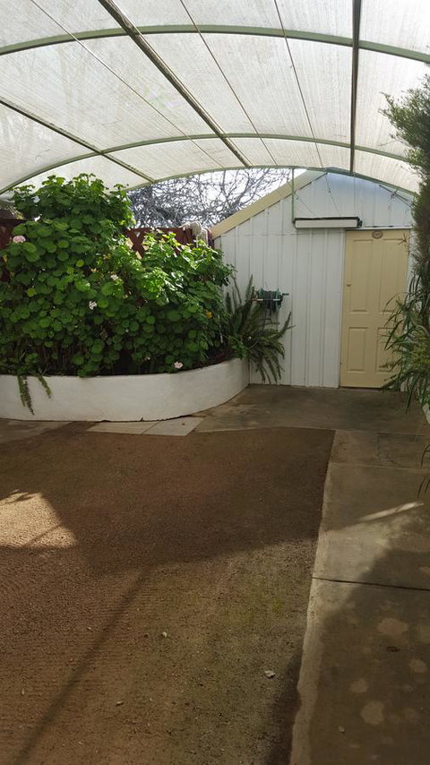 Cosy Nook - Accommodation Mount Tamborine 29