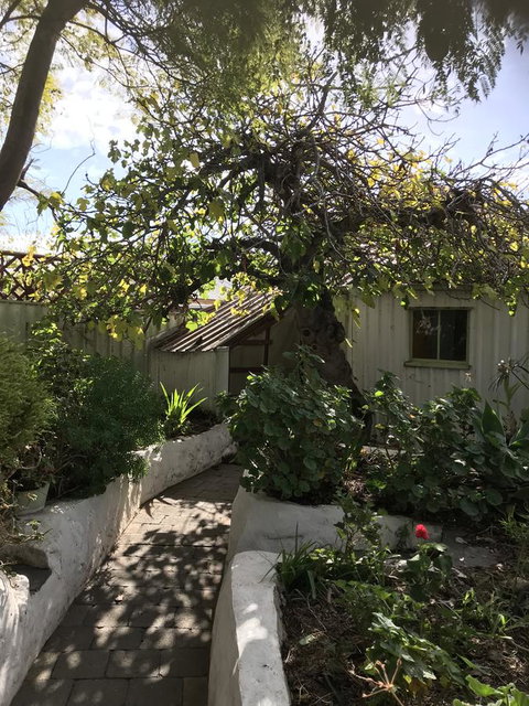 Cosy Nook - Accommodation Mount Tamborine 18