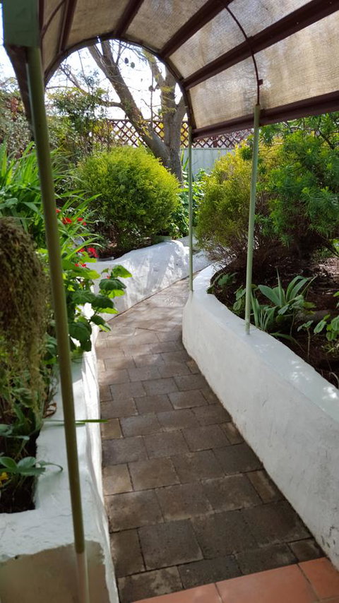 Cosy Nook - Accommodation Mount Tamborine 35