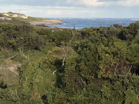 Rocks Retreat House With Sea Views - Accommodation Mount Tamborine 3