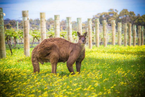 The Roozen Residence - Accommodation Mount Tamborine 29