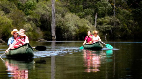 The Roozen Residence - Accommodation Mount Tamborine 27