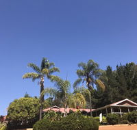 Forest Lodge Resort - Accommodation Mount Tamborine