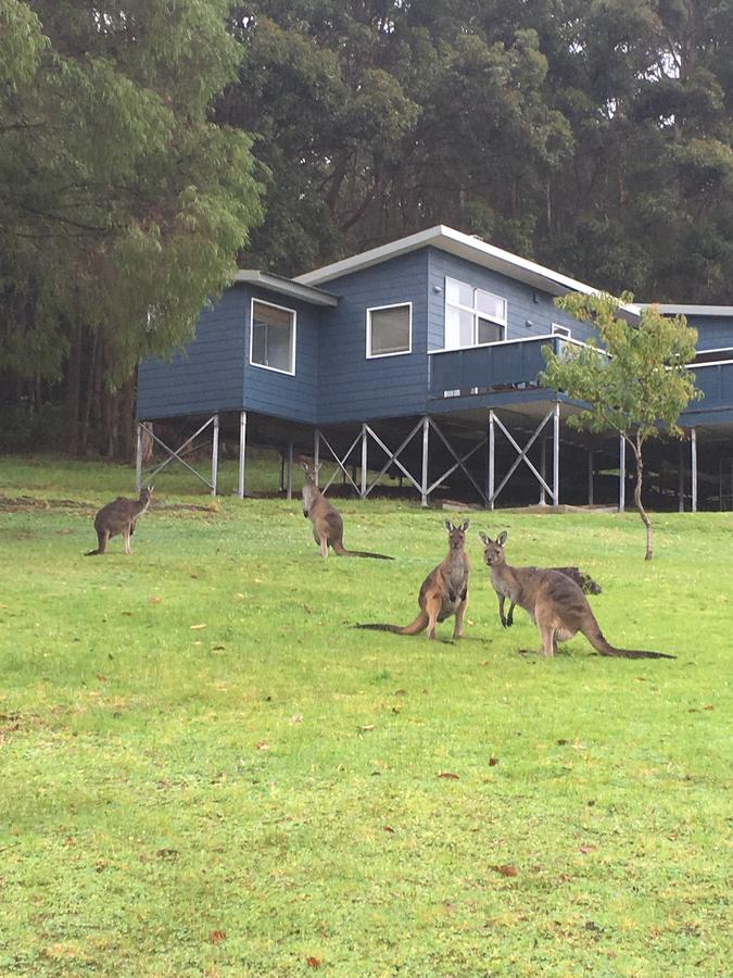 Denmark WA Accommodation Mount Tamborine