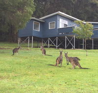 Blue House Denmark - Accommodation Mount Tamborine