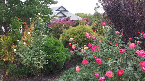 Glenelg On King Bed & Breakfast - Accommodation Mount Tamborine 15