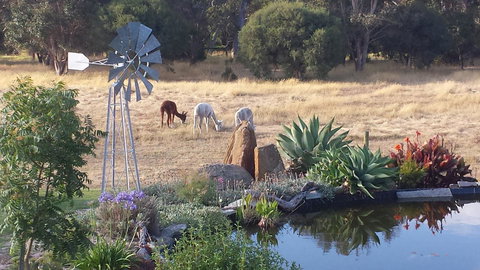 Glenelg On King Bed & Breakfast - Accommodation Mount Tamborine 19