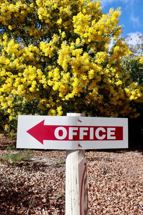 Travellers Rest Motel - Accommodation Mount Tamborine 21