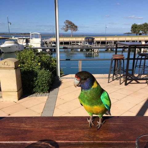 Mandurah Quay Resort - Accommodation Mount Tamborine 32