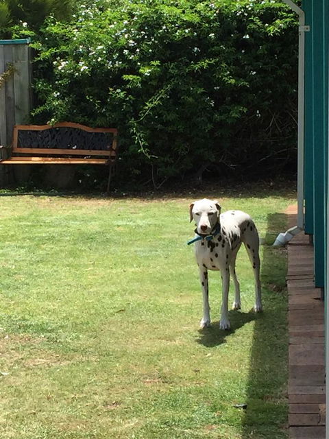 Beachside Prevelly Villas - Accommodation Mount Tamborine 31