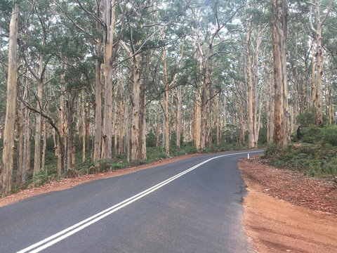 Bella Bali Gardens - Accommodation Mount Tamborine 29