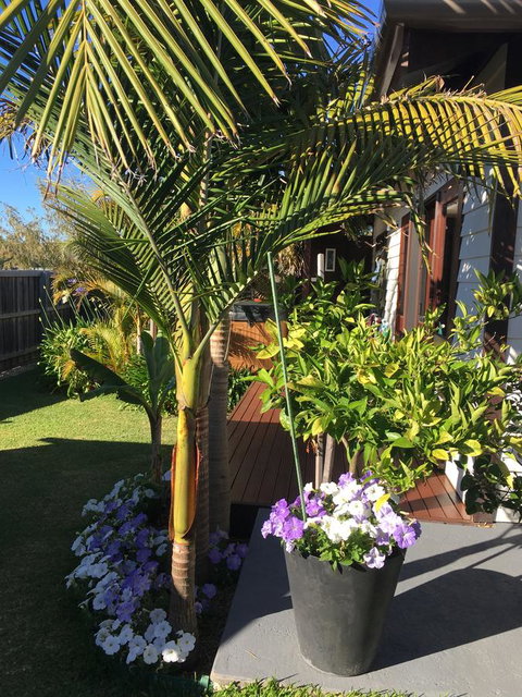 Bella Bali Gardens - Accommodation Mount Tamborine 23