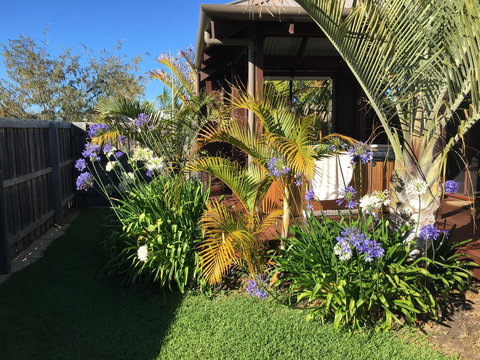 Bella Bali Gardens - Accommodation Mount Tamborine 10