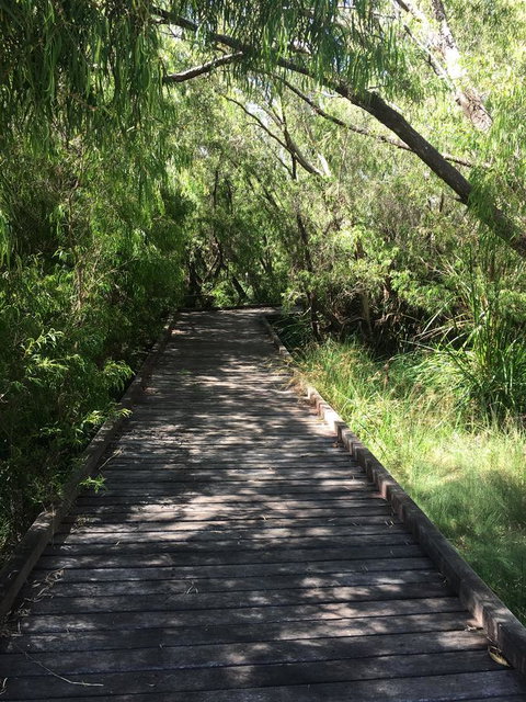 Bella Bali Gardens - Accommodation Mount Tamborine 36