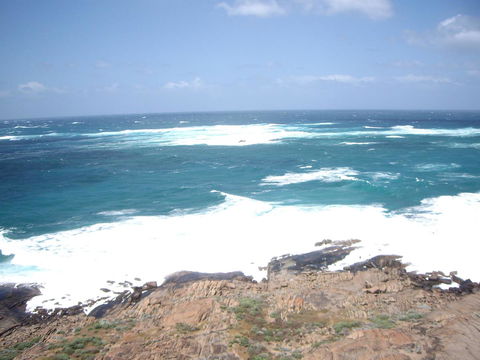 Bella Bali Gardens - Accommodation Mount Tamborine 30