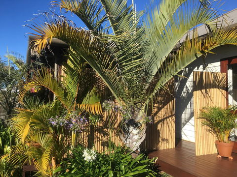 Bella Bali Gardens - Accommodation Mount Tamborine 7