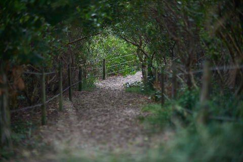 Ingenia Holidays Byron Bay - Accommodation Mount Tamborine 15