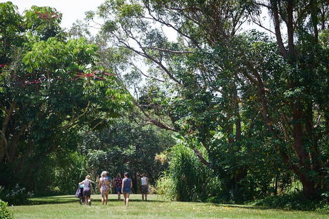 Ingenia Holidays Byron Bay - Accommodation Mount Tamborine 11