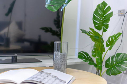 Inner City Stylish Apt Walk To Green Square - Accommodation Mount Tamborine 7