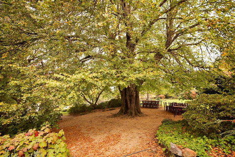Nesuto Leura Gardens (formerly Waldorf Leura Gardens Resort) - Accommodation Mount Tamborine 1