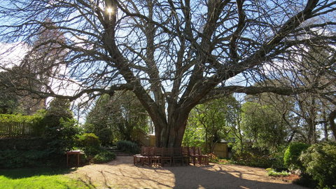 Nesuto Leura Gardens (formerly Waldorf Leura Gardens Resort) - Accommodation Mount Tamborine 3
