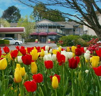 Nesuto Leura Gardens formerly Waldorf Leura Gardens Resort - Accommodation Mount Tamborine