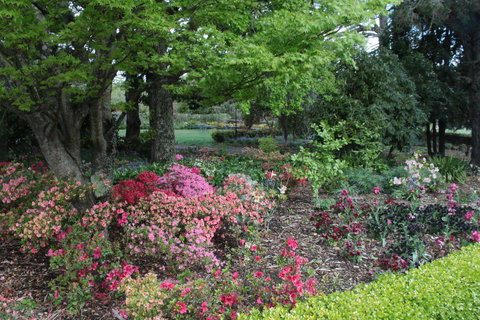 Nesuto Leura Gardens (formerly Waldorf Leura Gardens Resort) - Accommodation Mount Tamborine 2