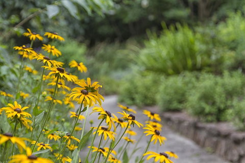 Nesuto Leura Gardens (formerly Waldorf Leura Gardens Resort) - Accommodation Mount Tamborine 16