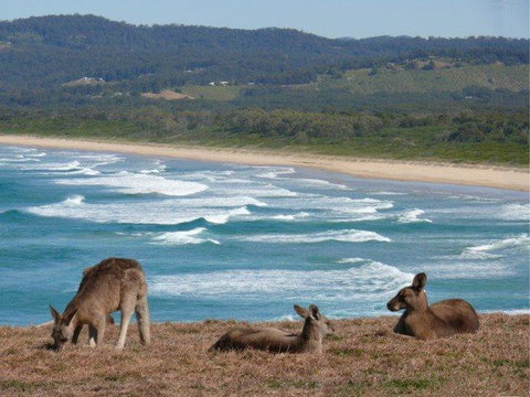 High Tide At Emerald - Accommodation Mount Tamborine 13